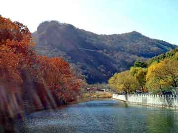 新澳天天开奖资料大全旅游团，塔缇纳维斯